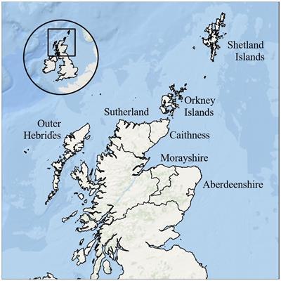 Using citizen science to better understand Risso’s dolphin (Grampus griseus) presence in northeast Scotland and the Northern Isles